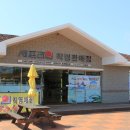 셰프라인 월드 이미지