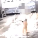 현지세차장 이미지