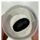 부천준동물병원 | 부천담낭병원 흉터 거의 남지 않았어요!