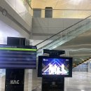 오가담 | [디낭 여행] 무안공항 오가담, 퍼시픽에어라인 전세기, 다낭도깨비 픽업 서비스