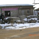한백주 티스토리