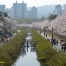 분당-324 이미지