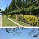 개화동로 이미지