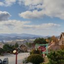 풍차랑 허브랑 이미지