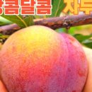 더 행복 마켓