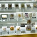 뽀야네 까까 이미지