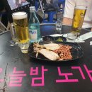 오늘밤 노가리 티스토리