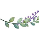 감성그림&손글씨 이미지