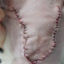 연지 동물병원 이미지