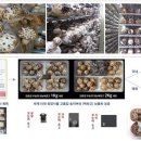 전주정보문화사업진흥원 이미지