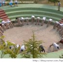 서라벌고등학교 이미지