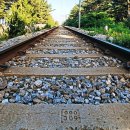 강릉정동진바다풍경오션뷰펜션 이미지