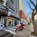 비다펠리즈 이미지