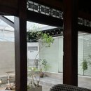 오르;다