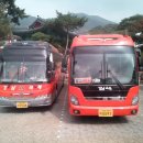 강남고속관광투어 이미지