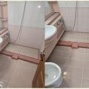 클린워시 이미지