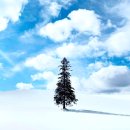 주식회사버스투어여행사 | 삿포로 비에이투어 다녀온 후기 비에이투어 방한화와 사진명소 스팟 코스 총 정리