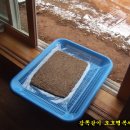 로하스웰빙 이미지