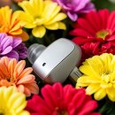 이마트24 사하국제점 | 드디어 나도 제대로 된 소리 찾으러 출동! 권준열AuD 후기 갑니다