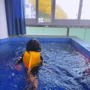 거제 썬스테이풀빌라 펜션 이미지