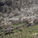 거창목장 이미지