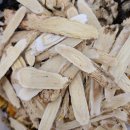 가디한의원 이미지