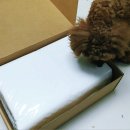 아이페티앙 이미지