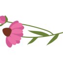 마마쿡요리
