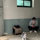 진도횟집해녀소녀식당 이미지