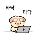 퍼피스프링 강서점 이미지