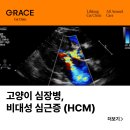 그레이스 고양이 심장&치과병원 이미지