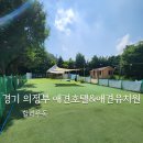 할리우독 이미지