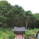 신사리 선돌 Daum카페