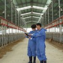 하나로목장 이미지