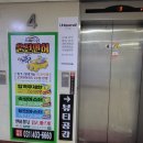 아이넬 헤어