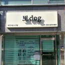 뽀dog 네이버블로그