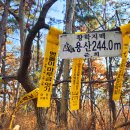 용산-244 이미지