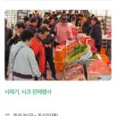 양구돌산령지게놀이 | 올가을 마지막 핫플! 2025 청춘양구 펀치볼 시래기 사과축제 완전 공개