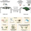 바른본치과의원 이미지