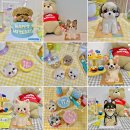 펫스튜리(petschurri) 이미지