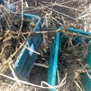 이명은 농장 이미지