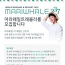 237 이미지