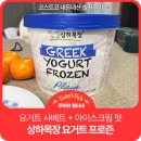 정성목장 | [내돈내산] 코스트코 신상!! 요ㅇ정이랑 똑닮은 맛 상하목장 그릭 요거트 아이스크림 솔직후기