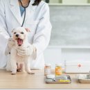 기장동물약국 이미지