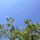 뽀얀빨래방 이미지