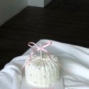 (주)오픈마인드월드 | W14. 대전 스튜디오 소브(S♥V) Open-air 촬영 후기🌳🍃🪴🌿🌱🧚🏻