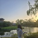 [수원 가볼만한곳] 화성 행궁동 산책 코스 여행 후기