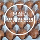 농업회사법인 농부와드론주식회사 | 농업회사법인 양계장청년 주식회사 난각1번 유정란