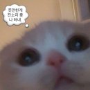 보성반점 - 동구 방촌로15길 10 | 보성반점