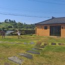 귤꽃스테이 이미지